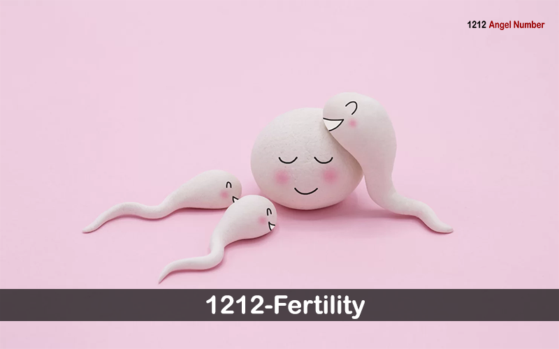 1212 meaning in fertility